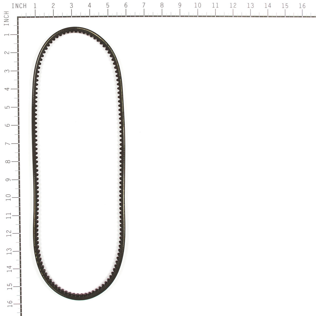 Oregon 115-219 1/2" x 35" Equipment Belt