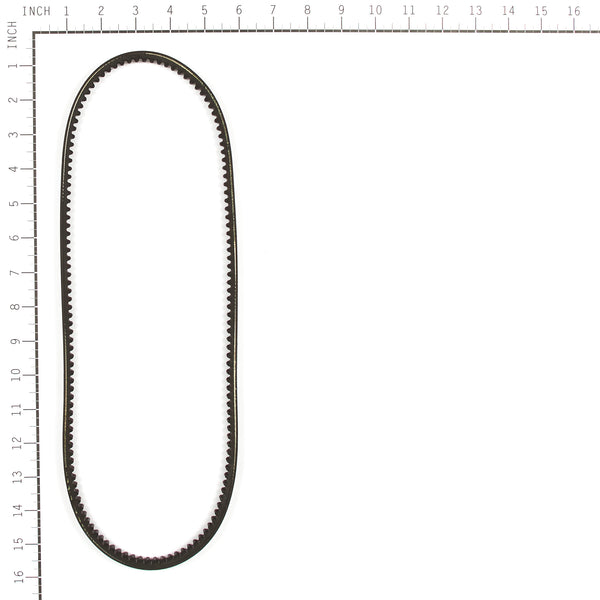 Oregon 115-219 Equipment Belt